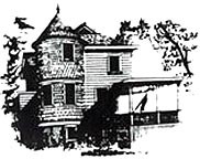 Blair Sugar Pine