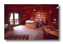 Log Suite