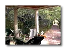 Porch and grounds